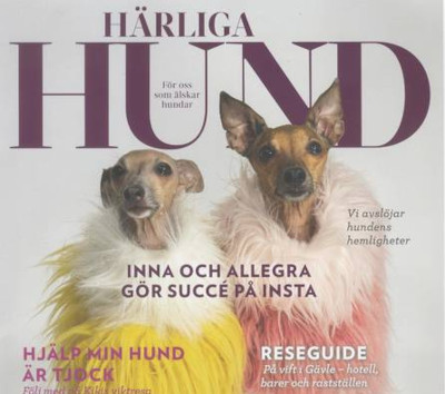 27% rabatt på 24-månader med Härliga Hund