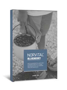 Norvital Blueberry - prova till halva priset